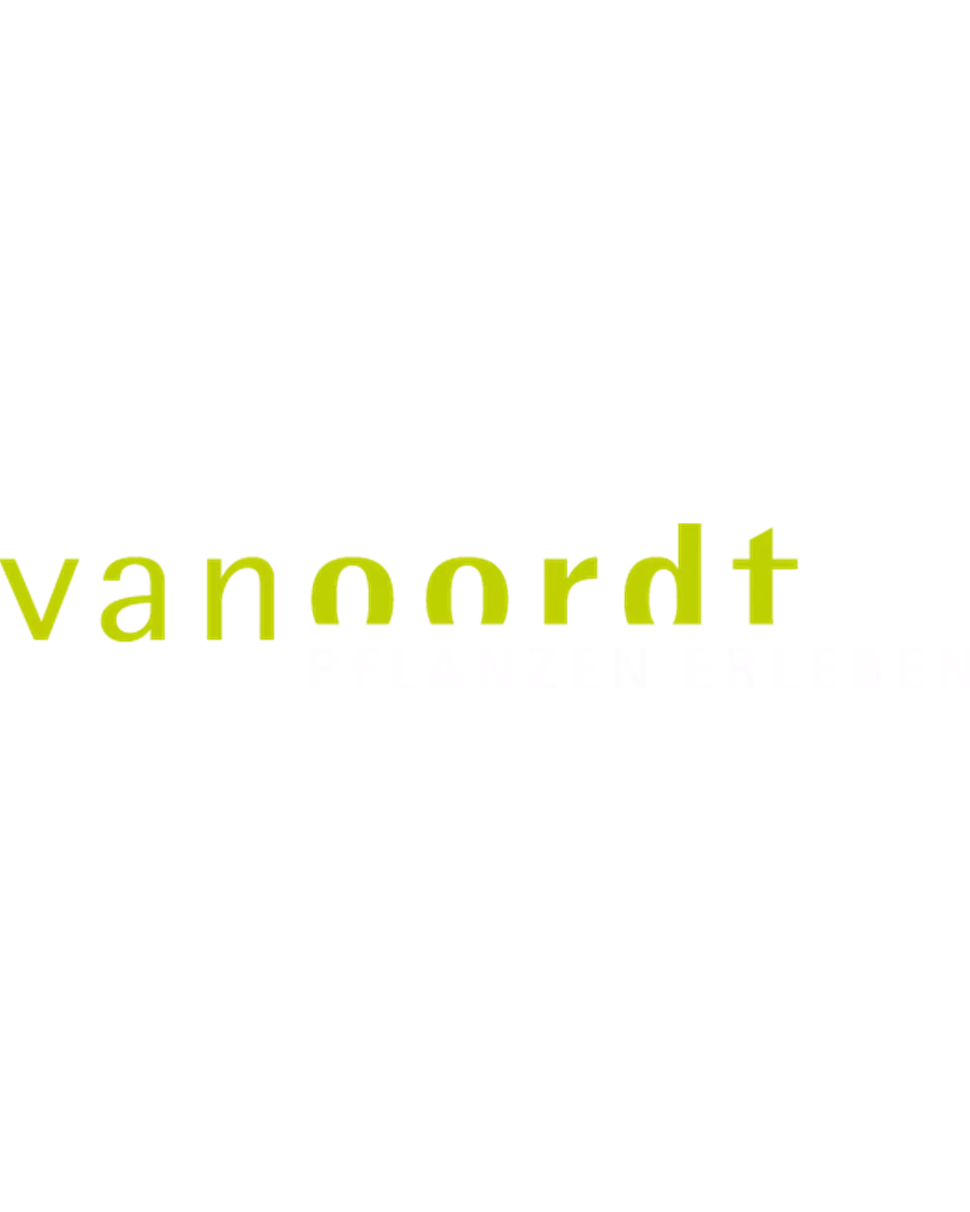Samira Albrecht