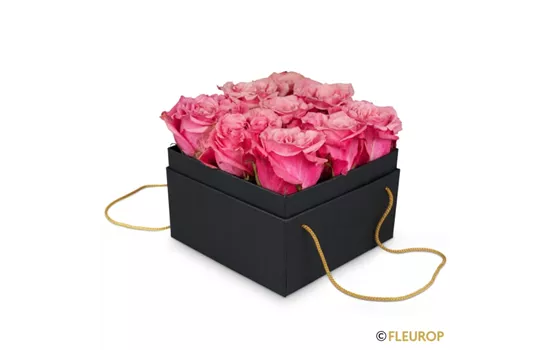 Blumenbox Lisbon (15cm)