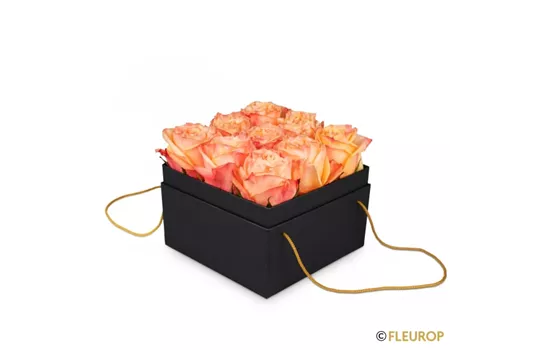 Blumenbox Marseille (15cm)