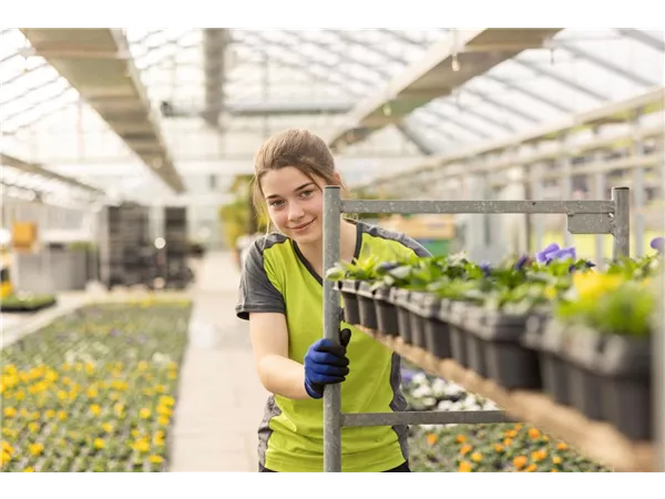 Lehrstelle als Gärtner/in Fachrichtung Produktion & Verkauf EFZ