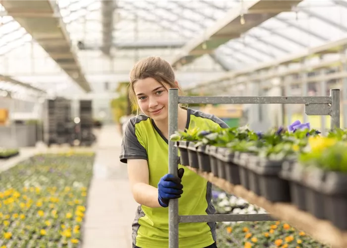 Lehrstelle als Gärtner/in Fachrichtung Produktion & Verkauf EFZ