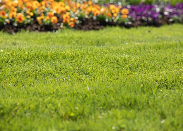 21. März: Rasen Beratungstag