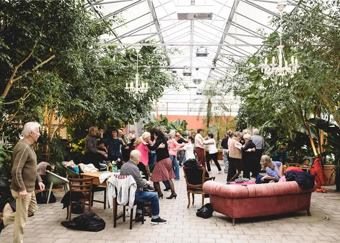 21. März, 13 bis 15:30 Uhr – Tanzcafé in der Gärtnerei